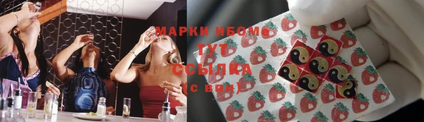 apvp Алзамай