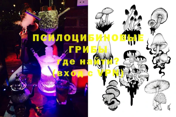 apvp Алзамай