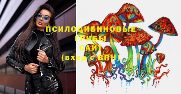 apvp Алзамай