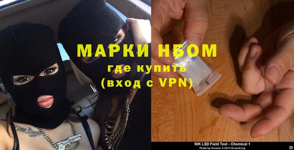 apvp Алзамай