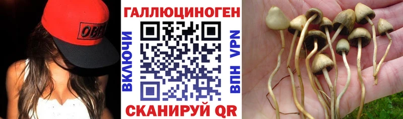 маркетплейс клад  где найти   Прокопьевск  Галлюциногенные грибы мицелий 