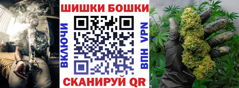 Конопля сатива  Прокопьевск 